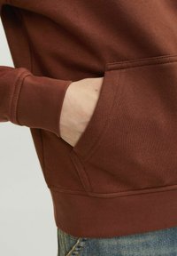 Jack & Jones Junior JORVESTERBRO - Felpa con cappuccio - brown