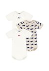 BABY UNISEX 3 PACK - Body - multi-coloured