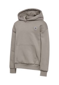 Grauer Hoodie aus weichem Material, mit einer Fronttasche, gerippten Bündchen und Saum sowie einem kleinen Logo auf der Brust.