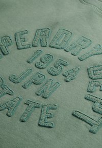 Sudadera verde menta con costuras elevadas en azul que muestran los textos "SUPERDRY", "1954" y "JPN" en una tipografía audaz y vintage. Tejido suave y texturizado.