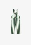 DELANI STRIPE UNISEX - Φόρμα εργασίας - eden / sandy