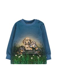 Langemouwen blauwe sweater met een afbeelding van drie puppy's op een grasachtige achtergrond, met gedetailleerde patronen van vacht en een zachte textuur.