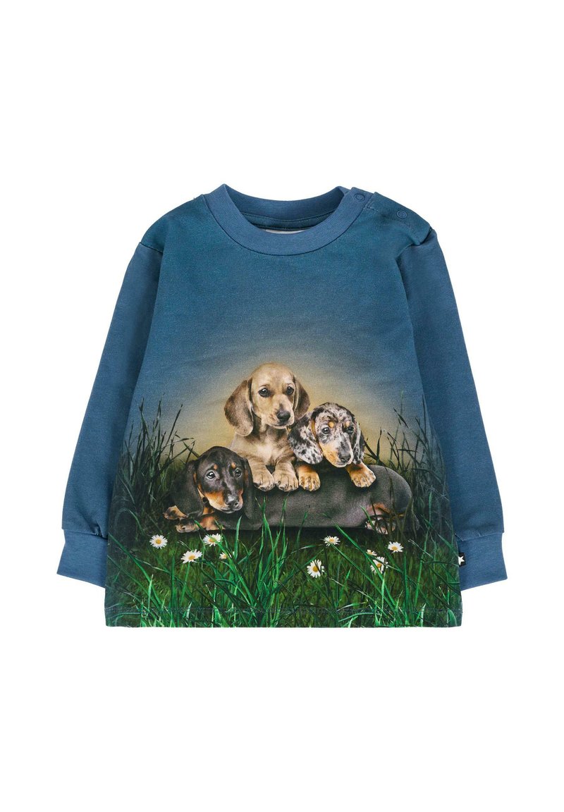 Langemouwen blauwe sweater met een afbeelding van drie puppy's op een grasachtige achtergrond, met gedetailleerde patronen van vacht en een zachte textuur.