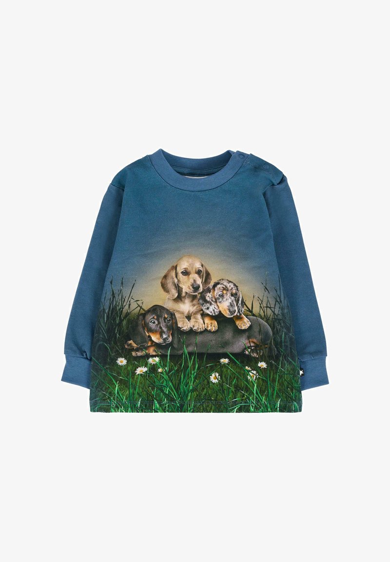 Langemouwen blauwe sweater met een afbeelding van drie puppy's op een grasachtige achtergrond, met gedetailleerde patronen van vacht en een zachte textuur.
