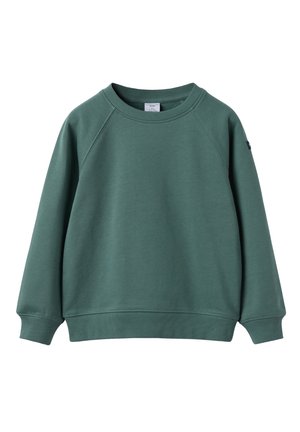 Groene katoenen sweatshirt met een ronde hals, raglanmouwen en ribgebreide manchetten en onderrand. Glad textuur zonder patronen of hardware.