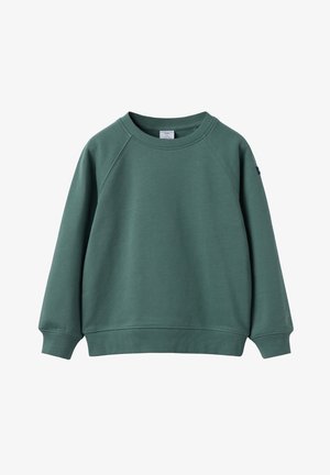 Sweat-shirt en coton vert avec un col rond, des manches raglan et des bords côtelés aux poignets et à l'ourlet. Texture lisse sans motifs ni éléments en métal.
