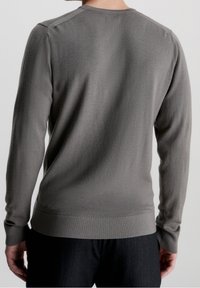 Grauer Strickpullover mit langen Ärmeln, rundem Ausschnitt sowie gerippten Bündchen an Ärmeln und Saum. Weiche Textur, minimal sichtbare Nähte auf der Rückseite.