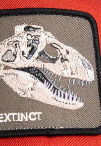 Embroidered patch featuring a T-Rex skull on a grey background, bordered in black, with the word "EXTINCT" in white below.