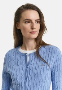 Svetlomodrý pletený kardigán s okrúhlym výstrihom, ktorý má dve gombíky a malú emblemu na ľavej hrudi. Mäkká textúra.