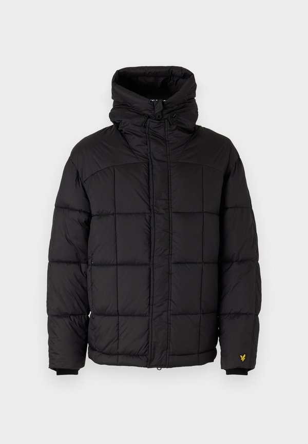 QUILTED PANNELLED JACKET - Winter jacket2