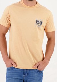 Kortærmet, rundhalset t-shirt i lyse orange stof. Har et blåt grafisk print på venstre bryst med teksten "GABB IANG."