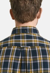 Geruit overhemd met een groen, geel en wit ruitpatroon, voorzien van een klassieke kraag en een plooidetail op de rug. Zachte stofstructuur.