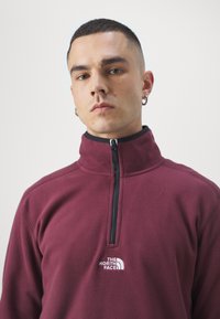 The North Face GLACIER ¼ ZIP - EMBROIDERED LOGO - Flisinis džemperis - alpine plum
