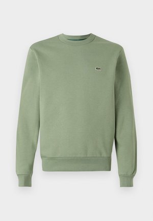 Sweat-shirt vert clair col rond avec manches longues et petit logo crocodile brodé sur la poitrine gauche.