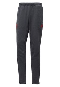 Pantaloni tuta grigi realizzati in morbido tessuto, con una vestibilità slim, cintura elastica e accenti rossi del logo sui lati.