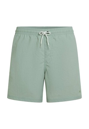Shorts de bain vert clair avec une taille élastique, une fermeture à cordon de serrage, et un petit logo. Fabriqués en tissu lisse et léger.