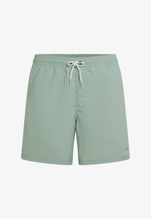 Shorts de bain vert clair avec une taille élastique, une fermeture à cordon de serrage, et un petit logo. Fabriqués en tissu lisse et léger.