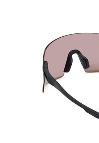 adidas Performance PRO - Aurinkolasit - matte black-brown