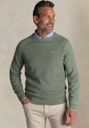 Groene gebreide trui met een ronde hals en ribgebreide manchetten, gedragen over een lichtblauwe shirt met een stippenpatroon.