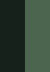 chameleon