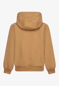 Nike Sportswear UNISEX - Jersey con capucha - flax