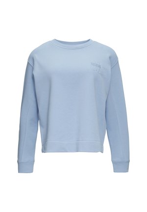 Light blue sweatshirt made of soft cotton, featuring long sleeves, a crew neckline, and embossed text on the chest. Straight hem.