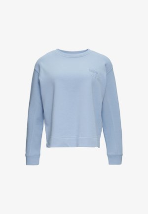 Light blue sweatshirt made of soft cotton, featuring long sleeves, a crew neckline, and embossed text on the chest. Straight hem.