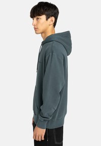 Hooded sweatshirt in dark teal. Made of soft fabric, features a kangaroo pocket, ribbed cuffs, and a relaxed fit. No visible logos.