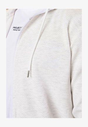 Sudadera con cremallera gris claro de tela texturizada, que presenta un logo bordado en blanco en el pecho. Incluye cordones con puntas plateadas.