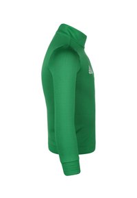 Maglietta verde a maniche lunghe con colletto alto, realizzata in tessuto elasticizzato. Presenta polsini a coste e un piccolo logo bianco sul petto.