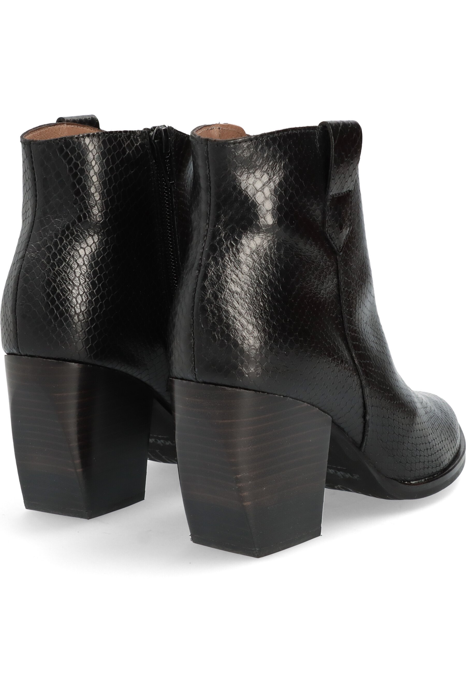 WONDERS Botines - black/negro - Zalando.es