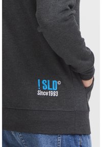Donkergrijze sweatshirt met een blauw en wit geborduurd logo "!SLD © Sinds 1993," met ribgebreide manchetten en zoom, gemaakt van zachte, gestructureerde stof.