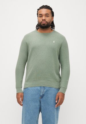 LONG SLEEVE - Striktrøje - fern green heather