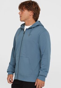 Light blue zip-up hoodie made from cotton blend fabric. Features a front pocket, drawstring hood, and ribbed cuffs. Embroidered logo on chest.