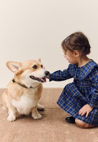 Un Corgi au pelage fauve et blanc, portant un collier vert, est assis à côté d'un enfant en robe à carreaux bleus, touchant la tête du chien. Tapis texturé beige en dessous.
