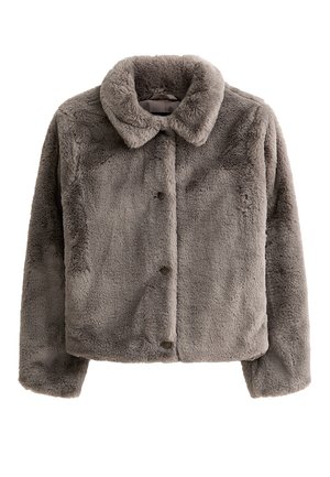 New Look Chaqueta de invierno - mink