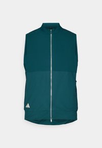 TOUR VEST - Chaleco - aurora ivy
