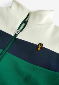 Next STAG REGULAR FIT - Tröja med dragkedja - green blue