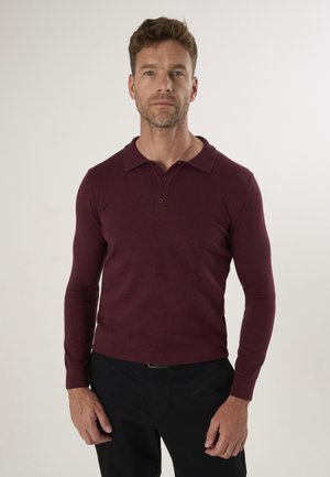 Man with short brown hair wearing a long-sleeve burgundy polo shirt and black pants standing against a plain light background.