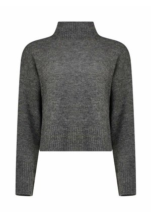 MAGLIONE DOLCEVITA - Maglione - grigio