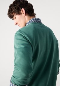 Felpa verde con una finitura morbida e testurizzata, indossata sopra una camicia a quadri blu e verde. Il design ha un girocollo e maniche lunghe.