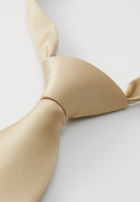 Beige sidenkrage med en slät textur, med en klassisk knut och spetsiga ändar, uppvisad mot en vit bakgrund.