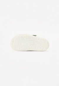 Froddo BAREFOOT BASE UNISEX - Tenisky - mint