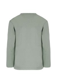 Langärmliges Hemd aus weichem, hellgrünem Baumwollstoff. Einfaches Design mit Rundhalsausschnitt und geradem Schnitt; keine Muster oder Verzierungen.