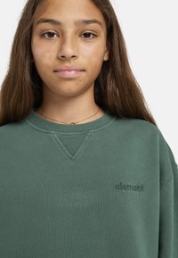 Grön sweatshirts i mjukt tyg med V-ringad design och subtil broderad logotyp. Enkel, avslappnad passform med ribbade muddar.