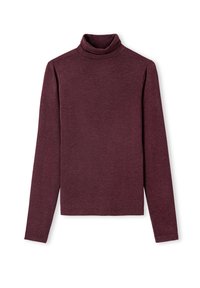 Bordeaux lange mouwen turtleneck-top, gemaakt van zachte stof, met een hoge hals en een eenvoudig, aansluitend ontwerp zonder patronen of accenten.