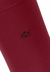 Burlington Bloomsbury - Calze - cranberry