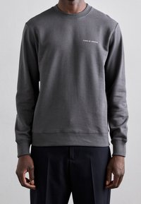 Gray sweatshirt with long sleeves, ribbed neckline and cuffs, featuring a small white logo text on the chest. Soft, smooth texture.