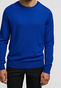 Blauer Strickpullover mit langen Ärmeln, Rundhalsausschnitt und geripptem Saum. Verfügt über ein dezentes Logo nahe der unteren Kante. Glatte Textur, leichtes Material.