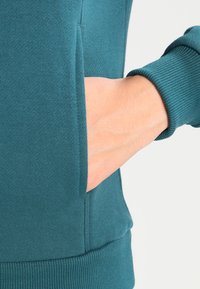 Urban Classics RAGLAN HIGH NECK  - Jersey con capucha - teal